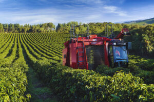 d6293a21-9a3e-4833-ad07-8343e41ae583 (1)